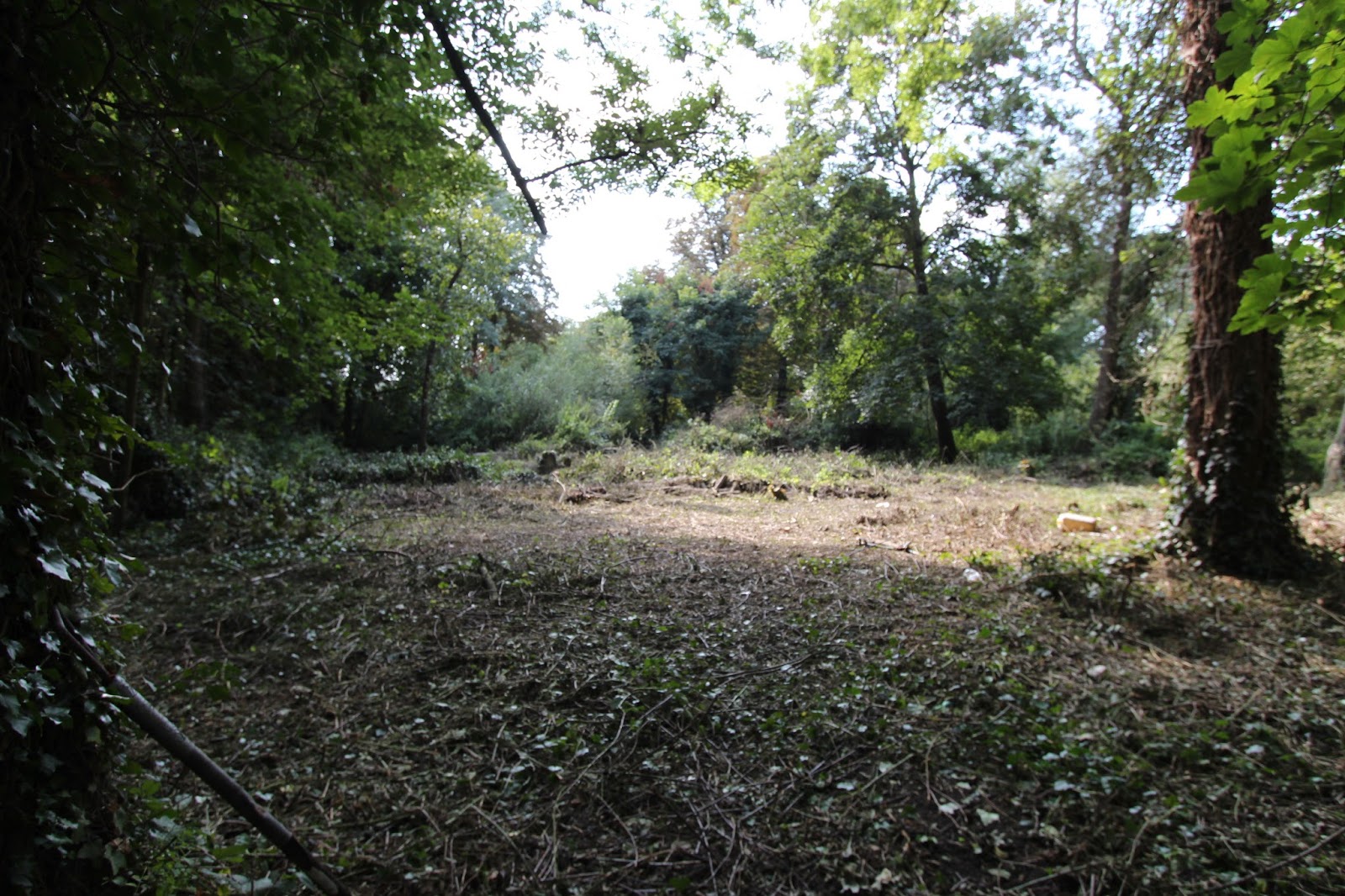 Unique Riverside Development Land For Sale Thames Development Land