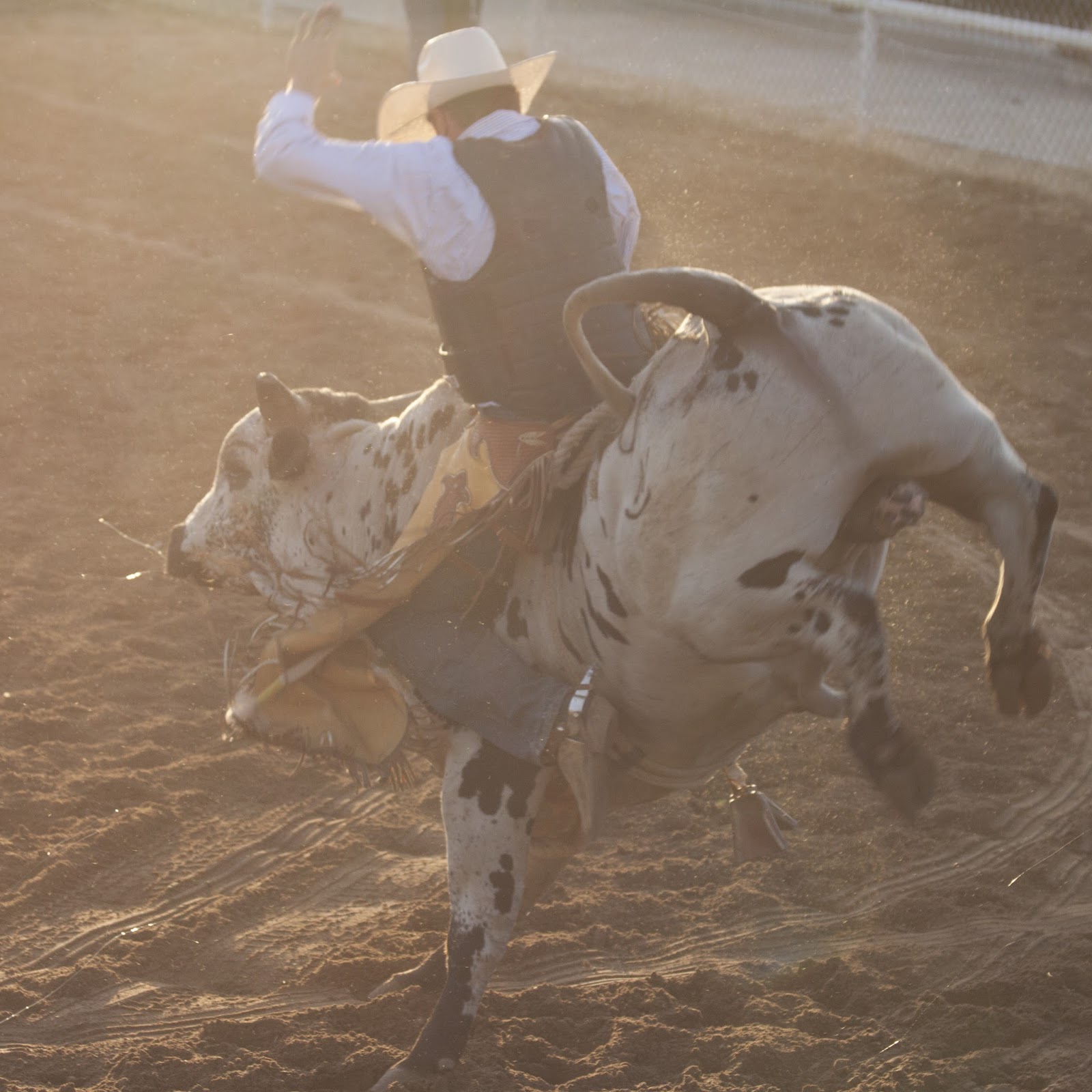 Rosemary Card Film & Photography Kamas Fiesta Days Rodeo