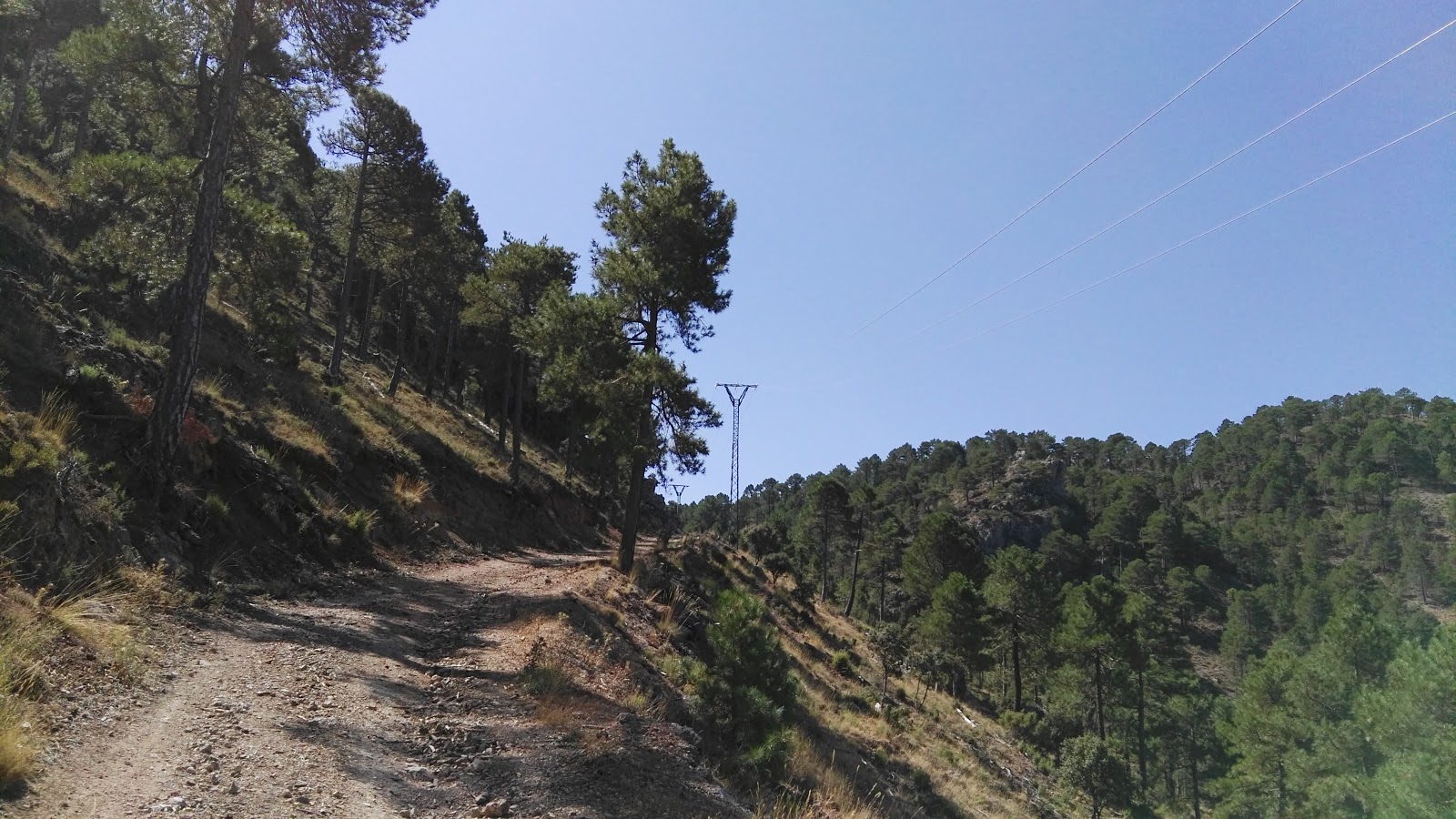 Fotos de la semana Primer día del verano 40 rutas