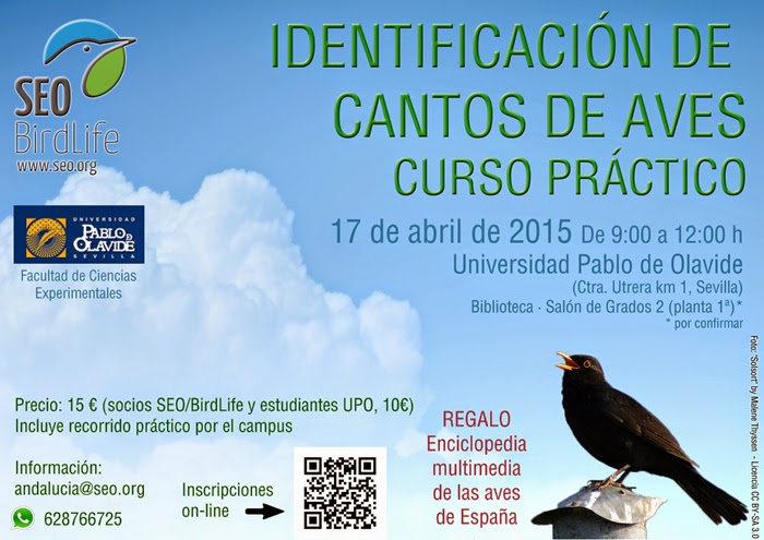 Curso de Identificación de cantos de aves. Curso práctico en Sevilla. SEO/BirdLife y Universidad Pablo de Olavide.
