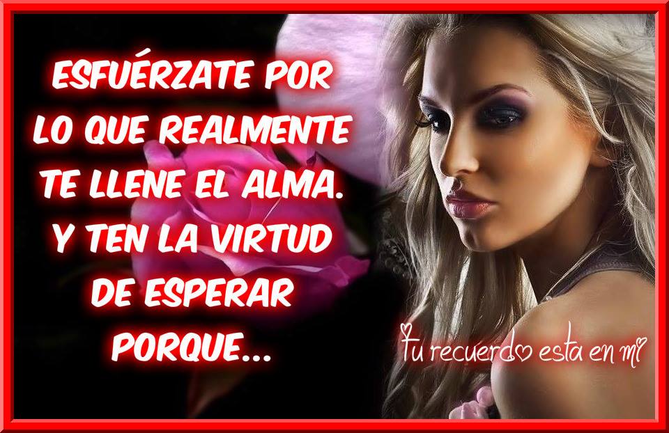 Lo intentaremos todo.