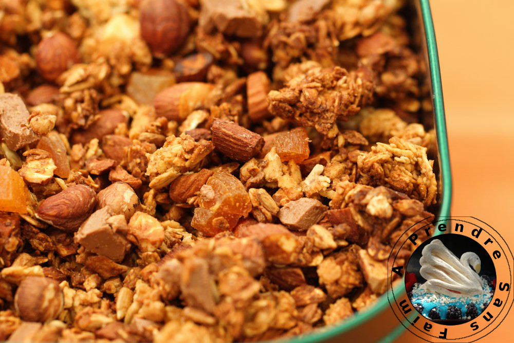 Muesli aux fruits et chocolat (pas à pas en photos)