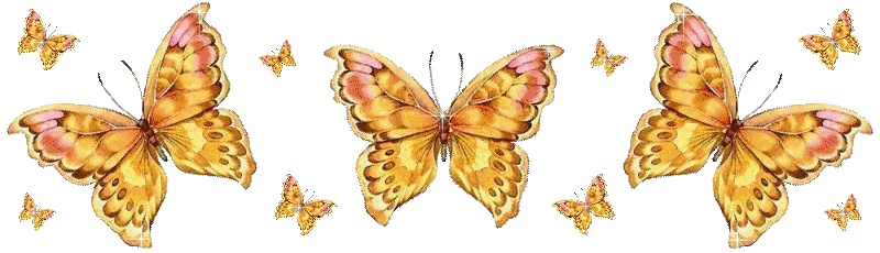 https://3.bp.blogspot.com/-i7n-HQHtqz8/VtkIwxmQ3TI/AAAAAAAFTL8/56YCTnTBjek/s1600/Gifs%2BAnimados%2BMariposas%2B11.gif