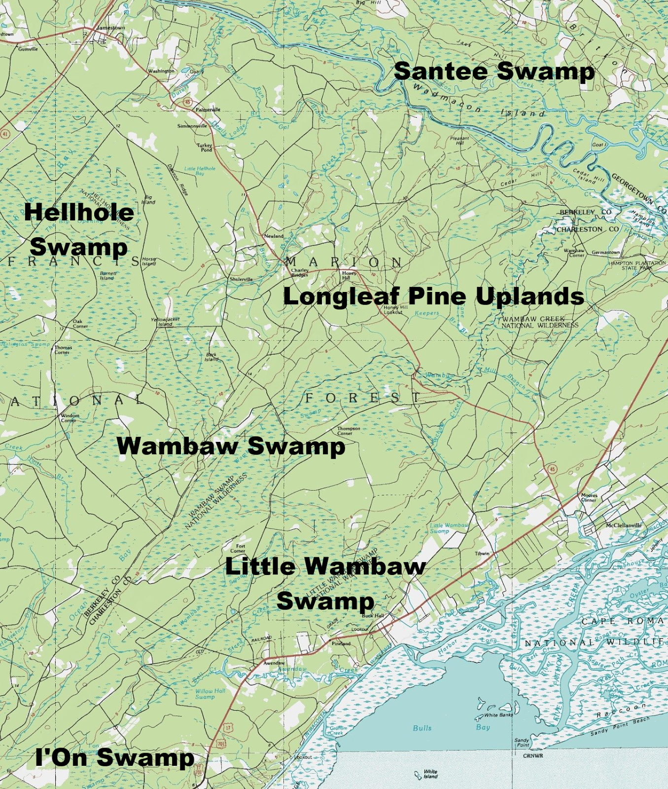 Map of swamps in Francis Marion National Forest
