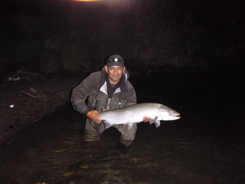 Salmon Fly Sea Trout Fishing On The River Towy Sewin Fishing On The