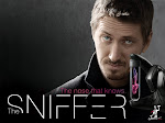 The sniffer