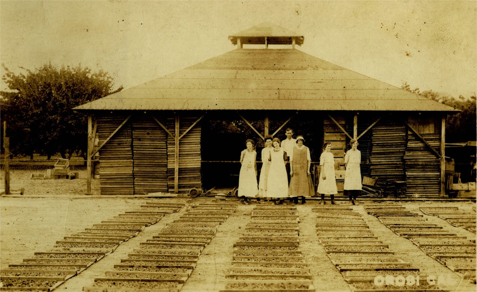 My Old Tulare County Pics