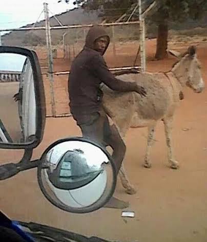 3 TF? Photos of a man who was allegedly caught having sex with a Donkey