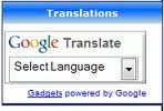 गूगल भाषा अनुवादक कैसे लगाएं Google translator kaise lagaen