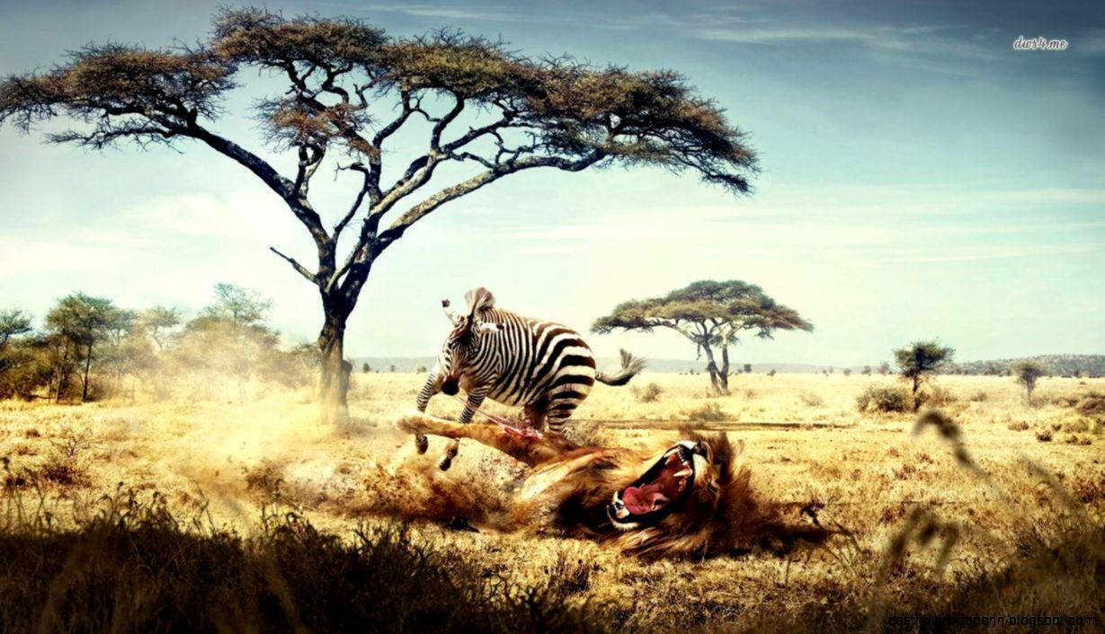 3 Wildlife HD Wallpapers  Backgrounds   Wallpaper Abyss