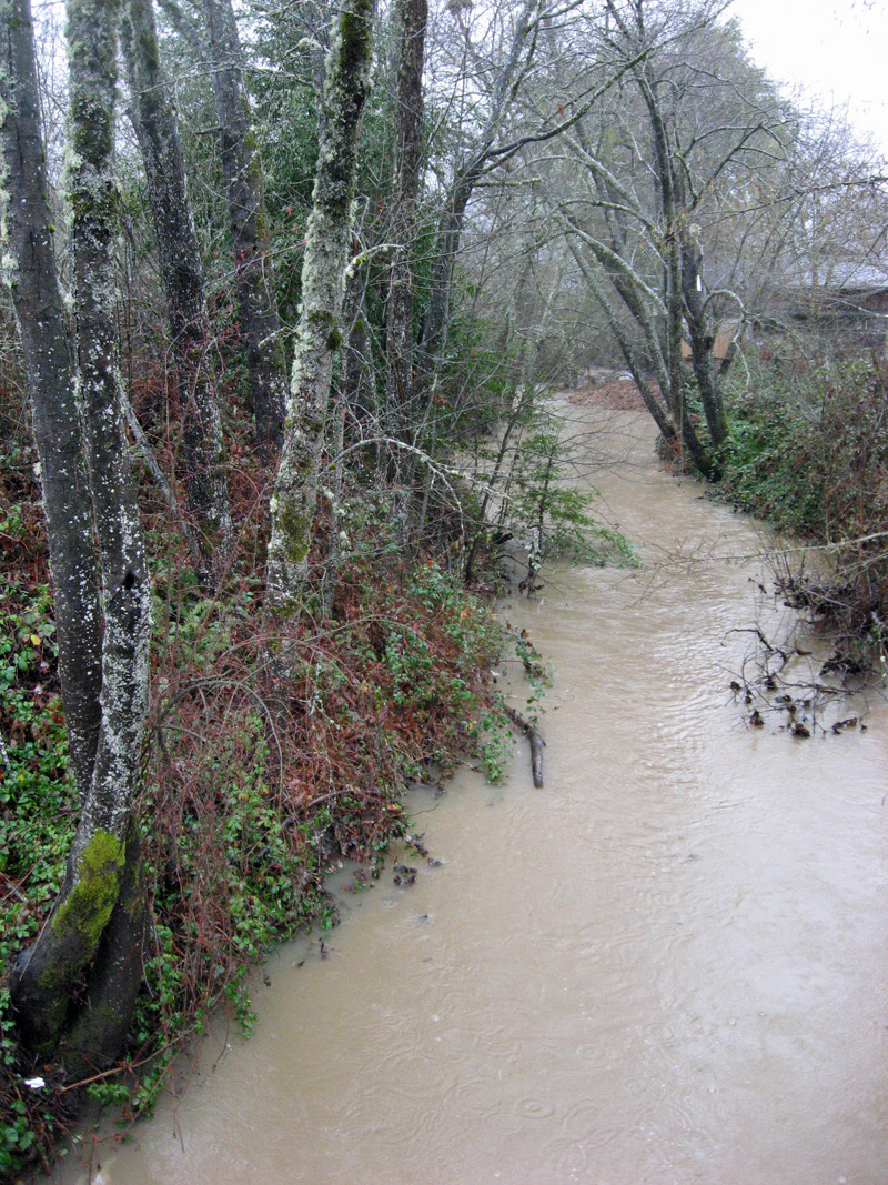 Willits Photo Overflow Baechtel Creek in Winter Rainstorm