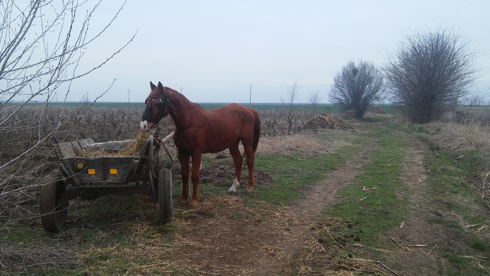 Cugiria Picnic la marginea drumului