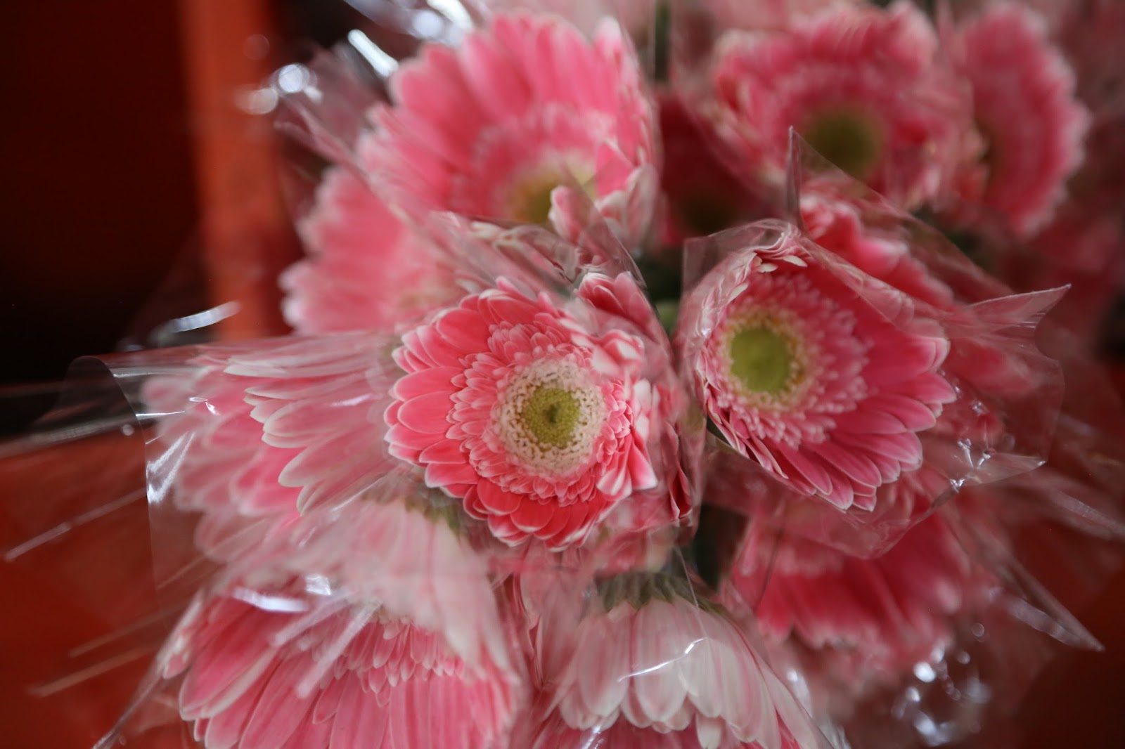 fresh flower wholesale online shop