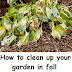 How to clean up your garden in fall
