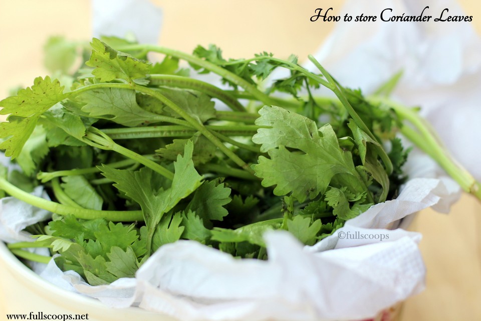 How to store Coriander, Curry leaves and Mint for long Full Scoops