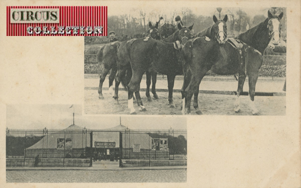 carte postale des chevaux et du chapiteau du Grand Cirque Helvetia début au 20 ème siècle