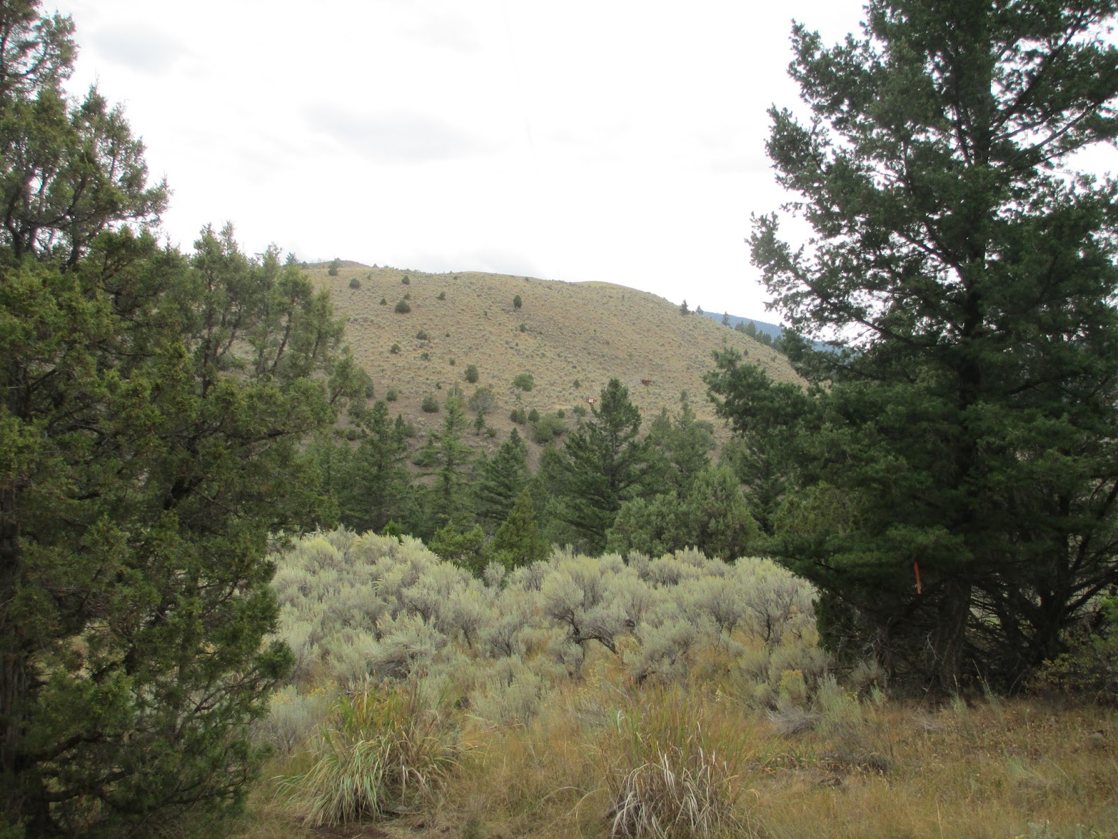 Ziplining Across the USA Saturday September 14 Yellowstone Zipline