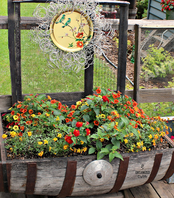 Planting a Horizontal Wooden Barrel #calibrachoa #bidens #lantana #bedsprings #wreath #vintage