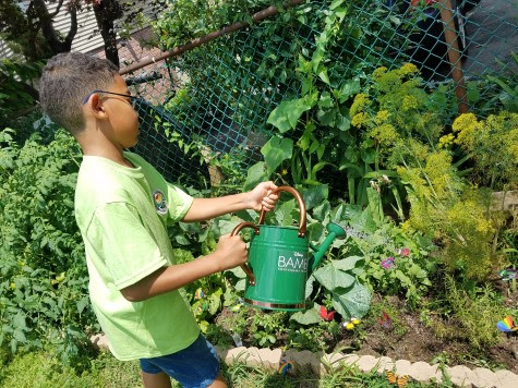 5 Reasons Why Gardening Helps Children Feel Happier