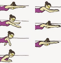 3 Teknik Dasar Renang Gaya Dada Beserta Tahapannya Penjasorkes