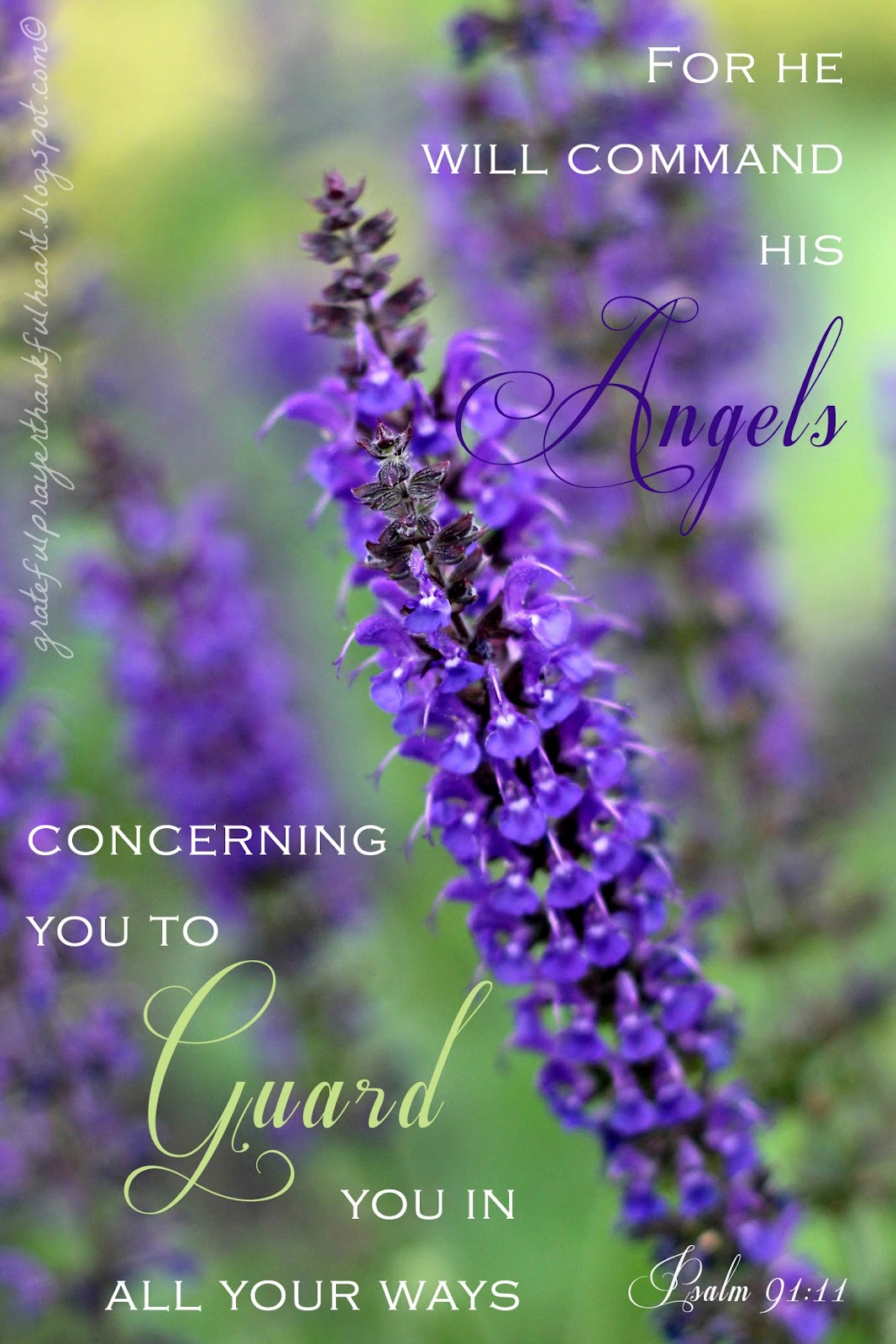 Psalm 91 Grateful Prayer Thankful Heart