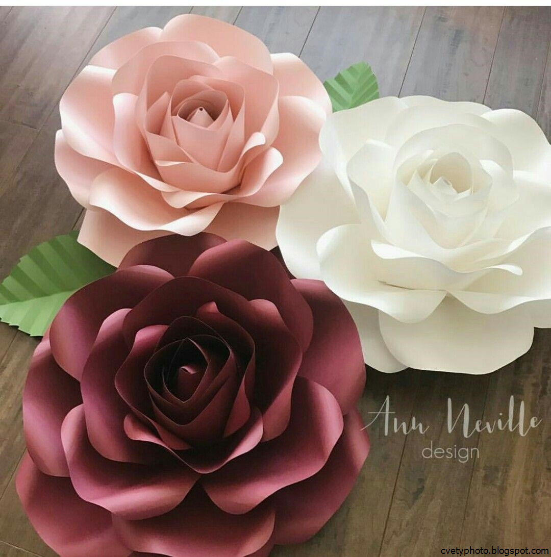 цветы из картона. объемные цветы из бумаги. объемные бумажные цветы. бумага для больших цветов. цветы из бумаги.