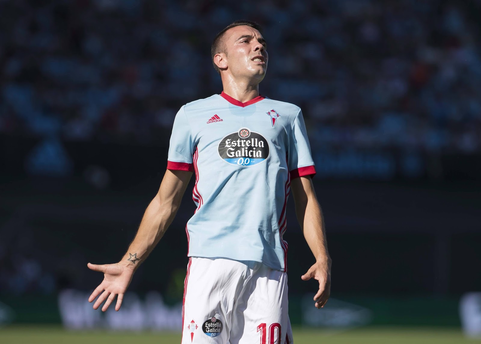 Real Betis vs Celta Vigo Live Stream La Liga Match Preview & Betting