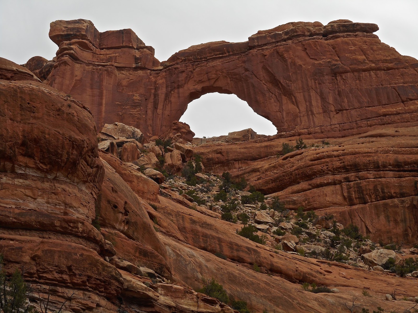 BEARS EARS FISH & OWL CANYONS