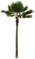 NEW 2017 low-res