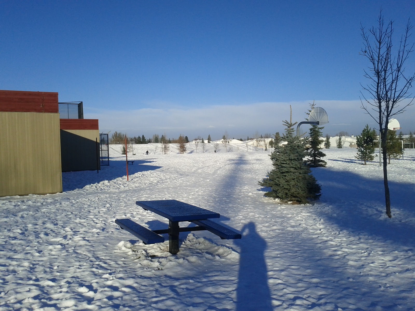 Family Fun Adventures In Edmonton Tobogganing By Ormsby School