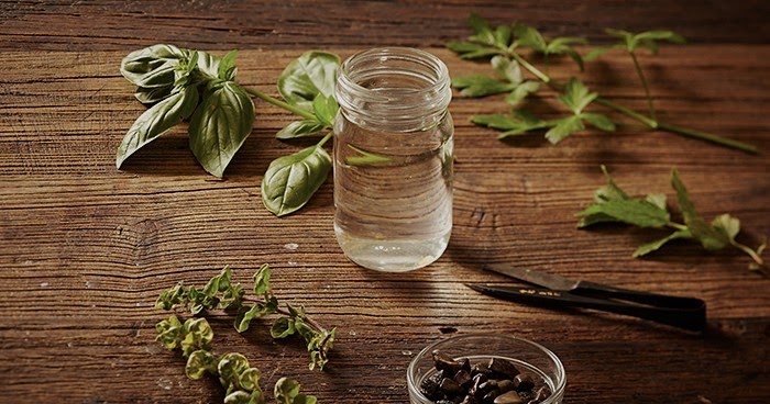 Doğal Şifa Kaynakları