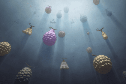 Penjelasan Kekuatan Buah Iblis Paramecia, Zoan, dan Logia