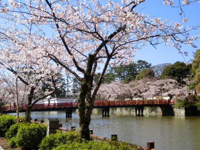 ���c����̍�