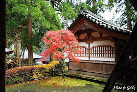 Hide Jelly 17北陸楓葉季day5 福井 古老 莊嚴的曹洞宗大本山 永平寺