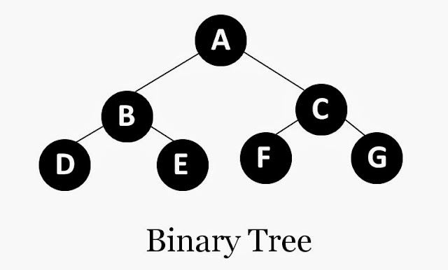 C Program to Create a Binary Tree Using Recursion [Linked Representation]