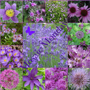 http://www.lavendercottagegardening.com/
