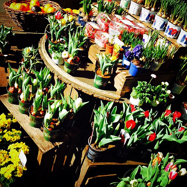 Jankes Soulfood Mai 2015