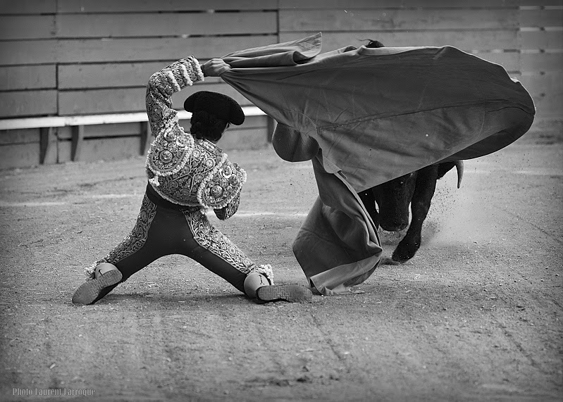 PhOtAuRiNeS Plaisance du Gers Novillada sans picador