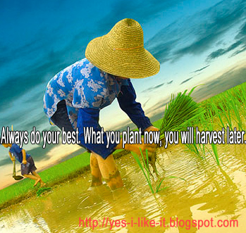 Yes I Like It: Motivational Image Quotes: Plant Now, Harvest Later