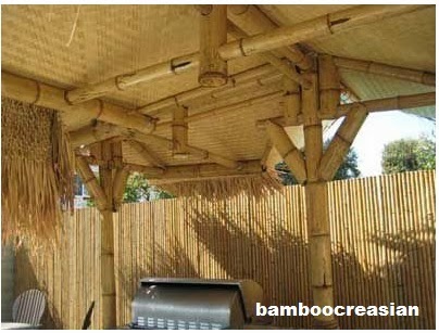 2 Dia Bamboo Poles 12 Ft Real Hard Solid Max Thick Wall 4 2 Dia Bamboo Poles 12 Ft 4 8 3 10 Timer Solid Hardest Max Thick Wall Of