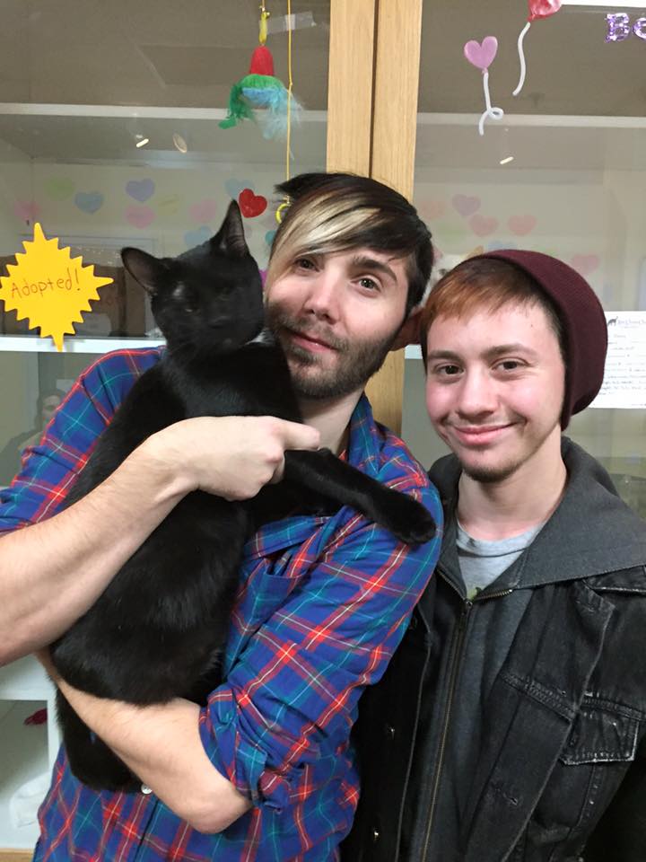 Ten Lives Club Cat Adoption Group PETFINDER WORKS WONDERS FOR TLC KITTY