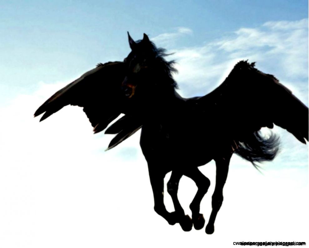 Black Pegasus Flying