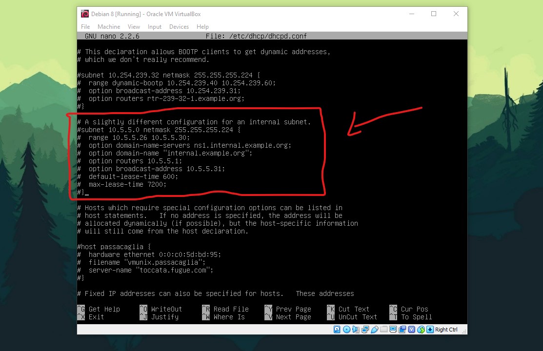 Debian домен. Roon сервер на дебиан. Лиа сервер. Проверка nslookup дебиан с графикой.