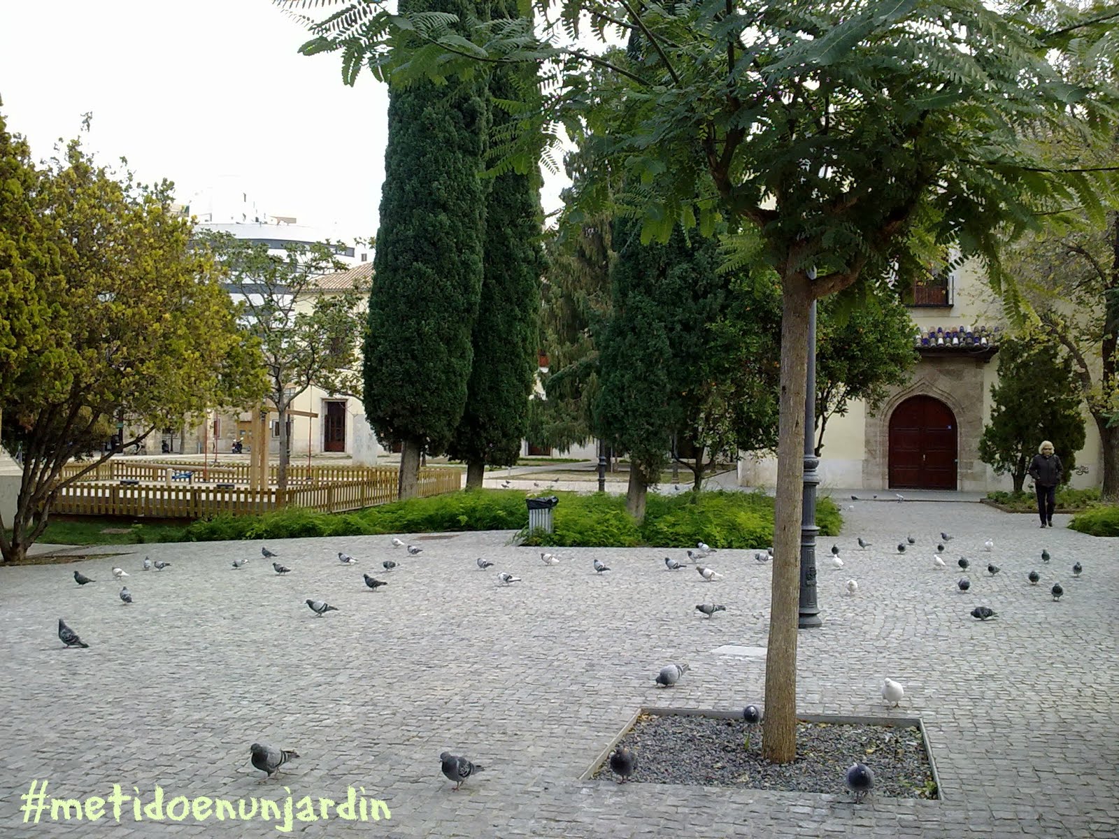 Me he metido en un jardín...: El Parque de la Cultura