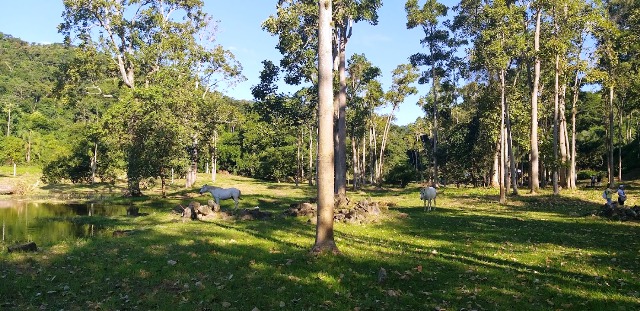 Parque Arqueológico e Ambiental de São João Marco é cercado de muito verde