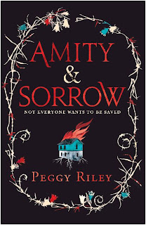 UK hardback cover of Amity & Sorrow by Peggy Riley published by Tinderpress