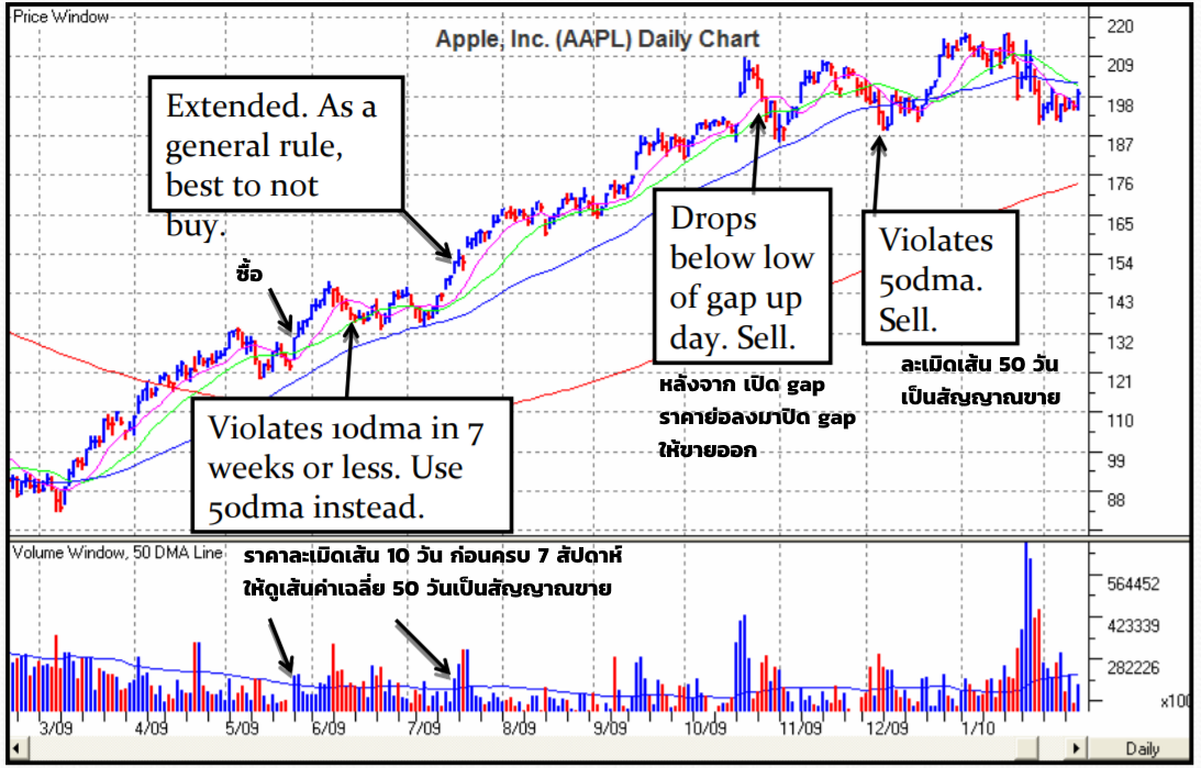 สรุปกฎ Pocket Pivot Buy Point 10 ข้อ