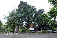 arca joko dolog