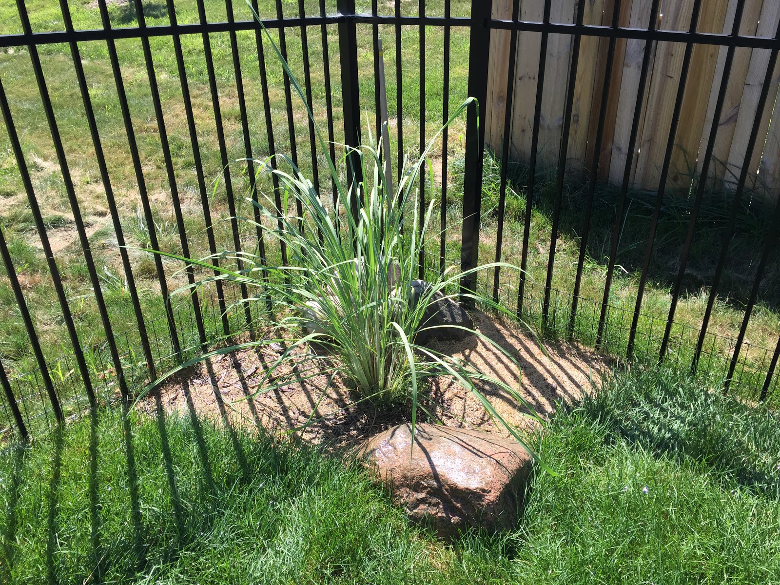 Expanding Mulch Beds [Backyard Neophyte Landscaping Blog]