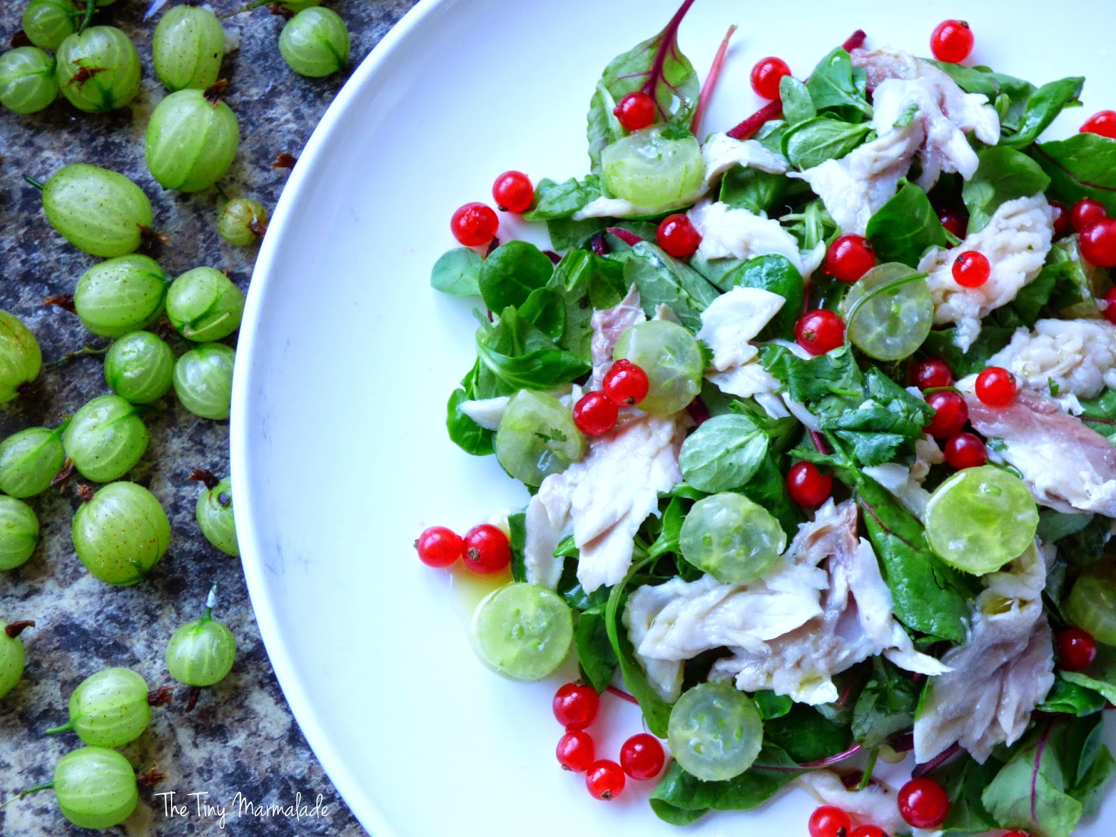 The Tiny Marmalade Co. Gooseberry & Mackerel Ceviche